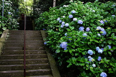 160626̯�ܻ���������1