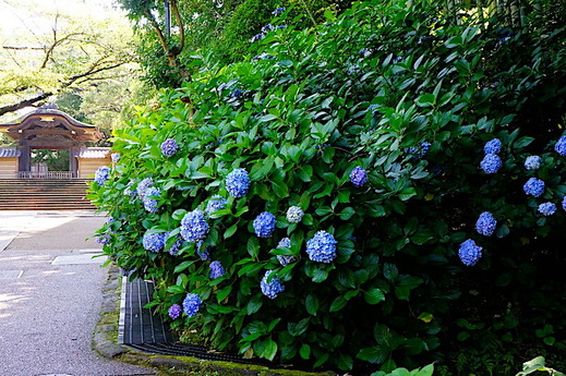 230702�߳л���������3