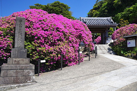 170511���ܱ��ĥĥ�1