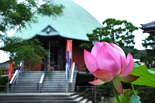 200730�ܳл��ϥ�