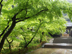 100428�߳л����У�