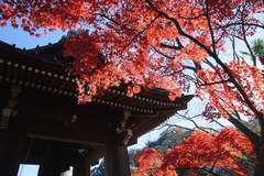 141203��¢������2