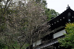 161025Ĺë�����ե�������