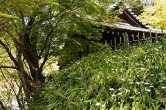 110413̯�ܻ�����