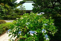 160620��̯����������1