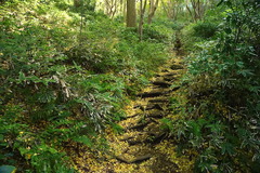 151129�����ë����