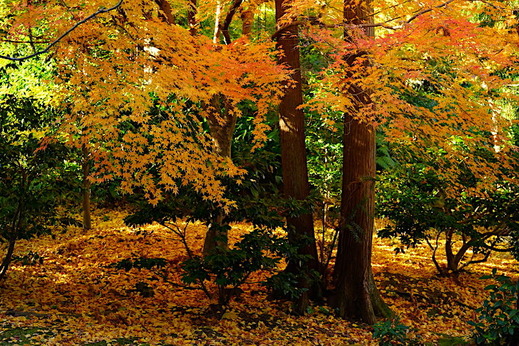 161211���һ�����3