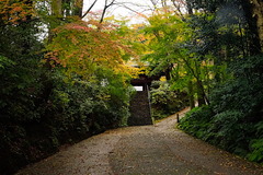 161214̯�ܻ�����1