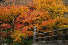 121217̯�ܻ�����2