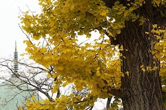 221217�ܳл�����2