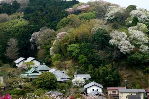 100407�߳л�������Ļ�