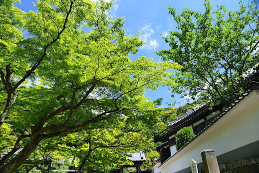 190603�߳л�����