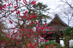 150301̯�ܻ�����2