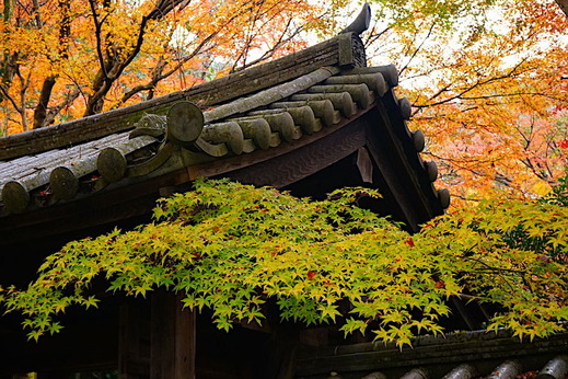 181223����������2