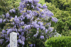 080426�̴���ե�