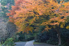 151216����������1