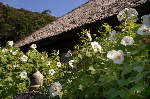 130901�߳л������ե襦