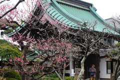 160201Ĺë»û¥¦¥á3
