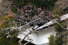 180226Åì·Ä»û¥¦¥á2