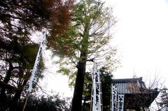 111207���ܻ�