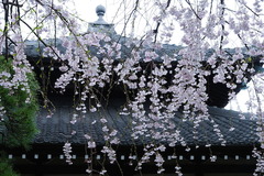 140330�ܳл������쥶����