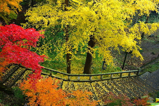 161205��Ĺ������3