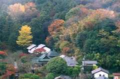111203東慶寺紅葉