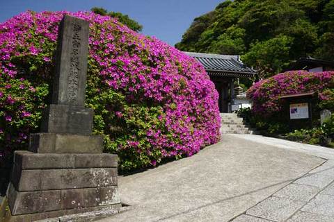 100508���ܱ��ĥĥ���