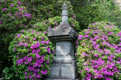 130425���ܱ��ĥĥ�4