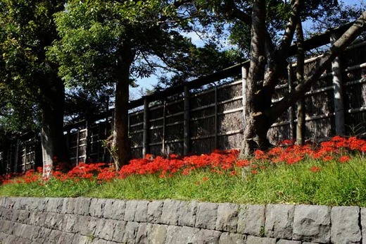 121005�ᲬȬȨ�ܥҥ���Х�