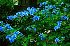 150625�¹�������������3