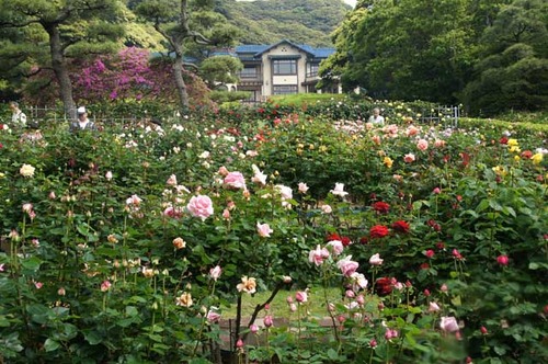 110518ʸ�شۥХ�