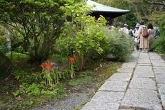 120928¾ô¸÷ÌÀ»û¥Ò¥¬¥ó¥Ð¥Ê