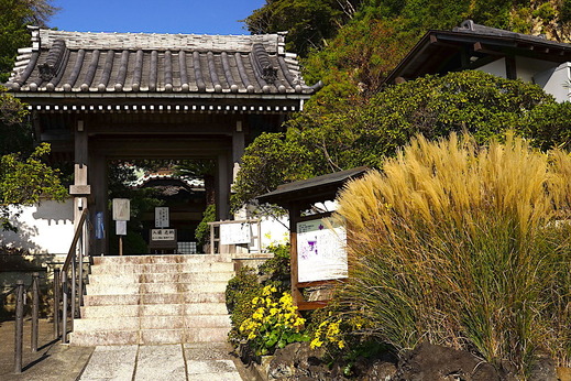 211104���ܱ�����