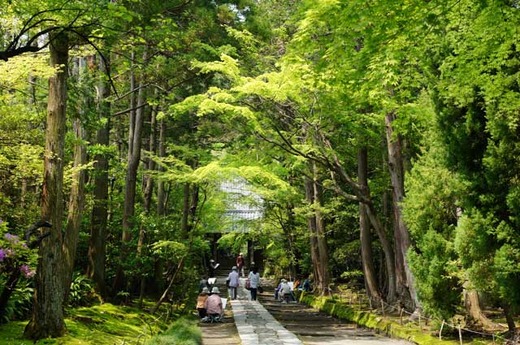 120508��ʡ������