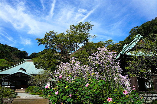 161006��¢��������