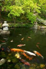 070411Ĺë»û¿·ÎÐÃÓ