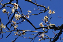 160128��̯���ϥ��Х�