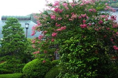 130825��̯�����륹�٥�2