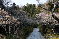 180313Åì·Ä»û¥¦¥á£±