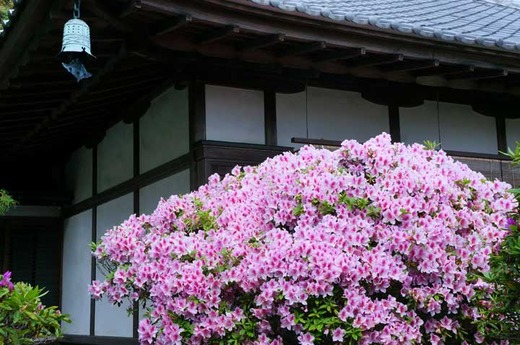 130425���ܱ��ĥĥ�3