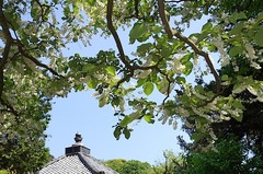 150510���һ��ϥ�����ܥ�