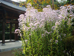 081105��¢��������