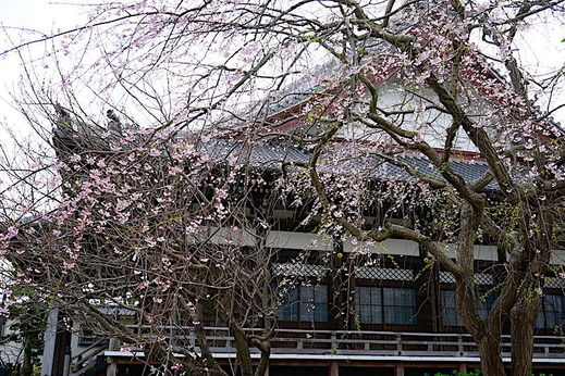 190322�ܳл������쥶����2