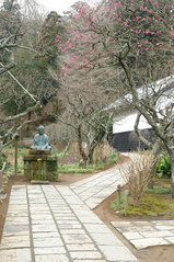 ��Ļ�����