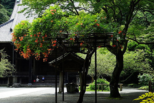 190718̯�ܻ��Υ����󥫥���1