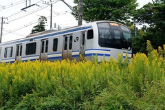 151018���ܲ��������������������������