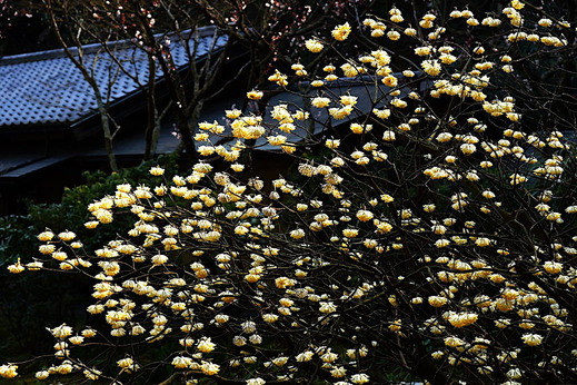 170319��Ļ��ߥĥޥ�