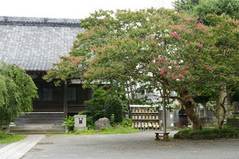 �ܶ������륹�٥�