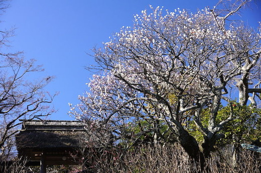 150305��Ļ�����